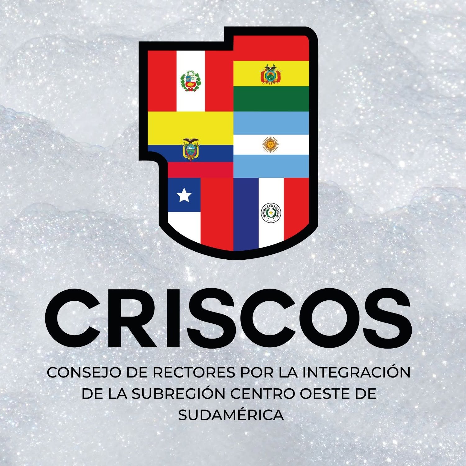 RESULTADOS DE ESTUDIANTES GANADORES DE LA CONVOCATORIA CRISCOS 1/2027