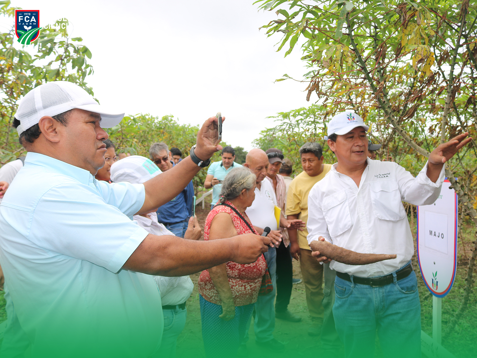 Productores científicos de El Vallecito prueban variedades de fertilización para potenciar cultivo de yuca