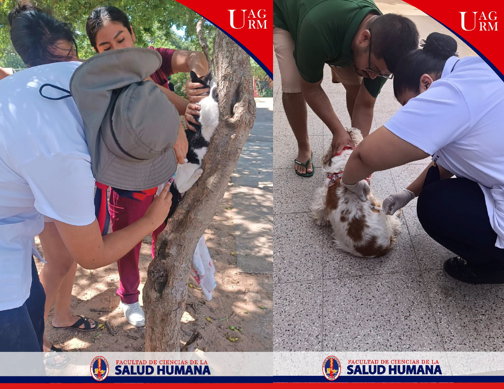 ¡ENFERMERÍA EN ACCIÓN POR LA SALUD Y EL BIENESTAR DE NUESTRAS MASCOTAS!