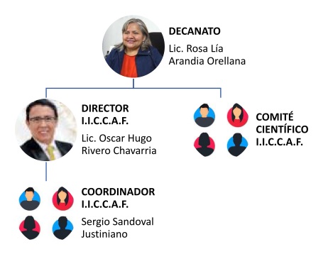 Estructura del I.I.C.C.A.F.