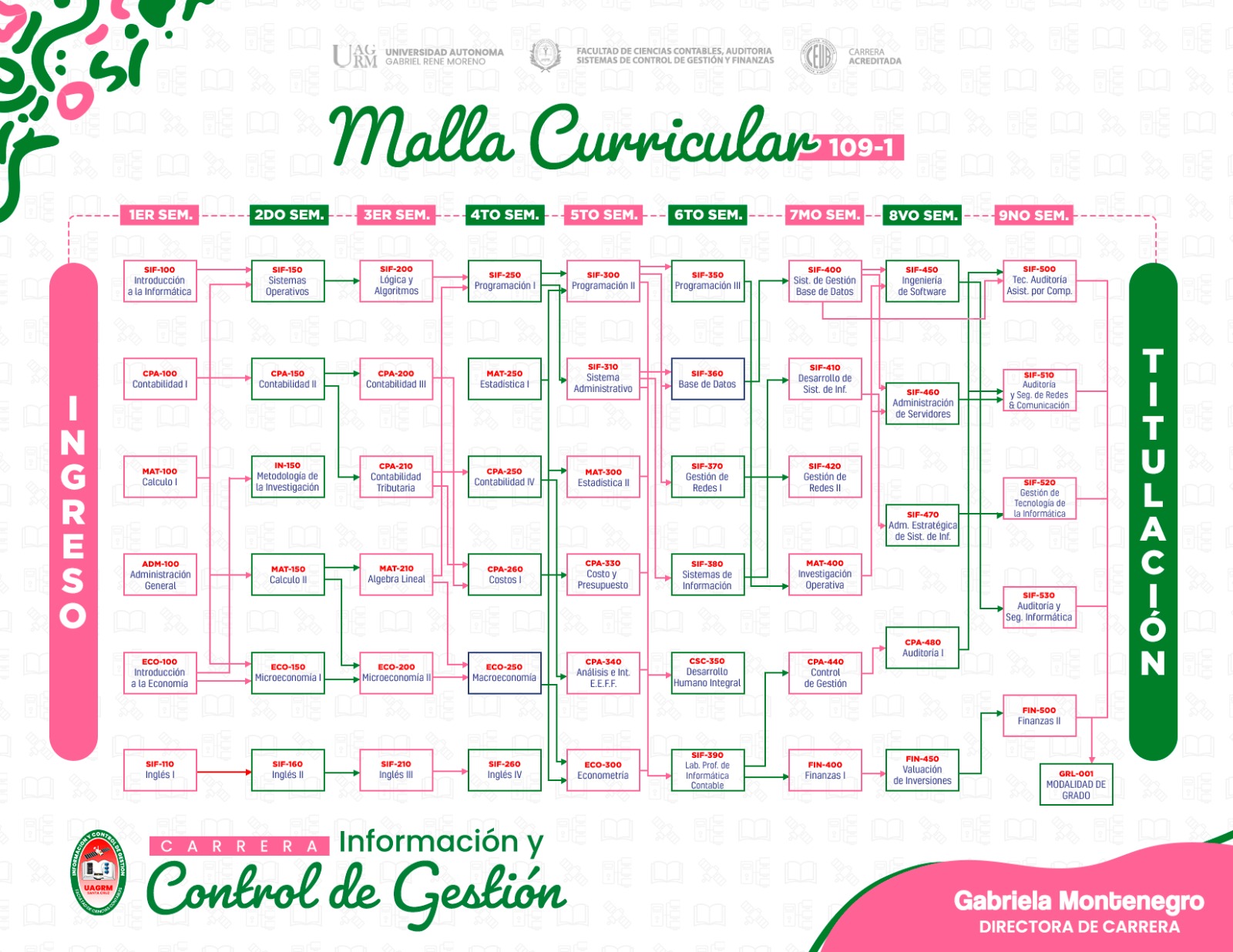 Gr&aacute;fico de la Malla Curricular