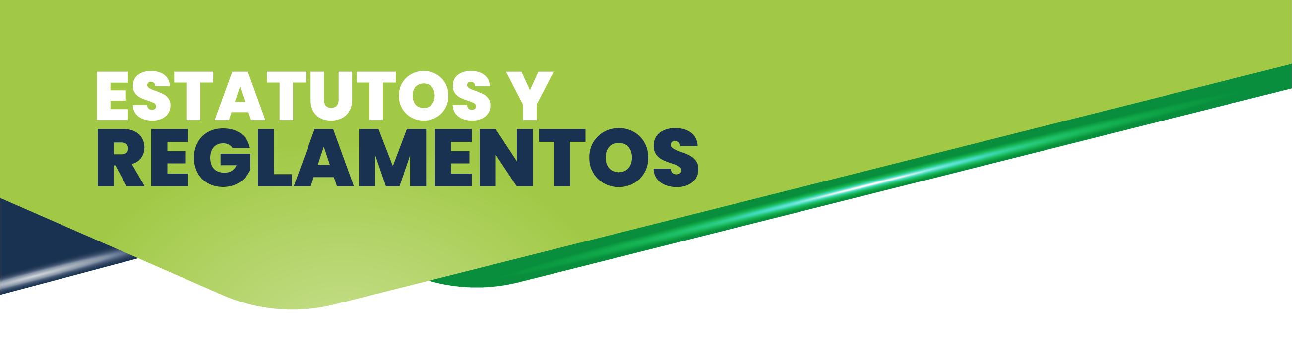 Encabezado Galer&iacute;a