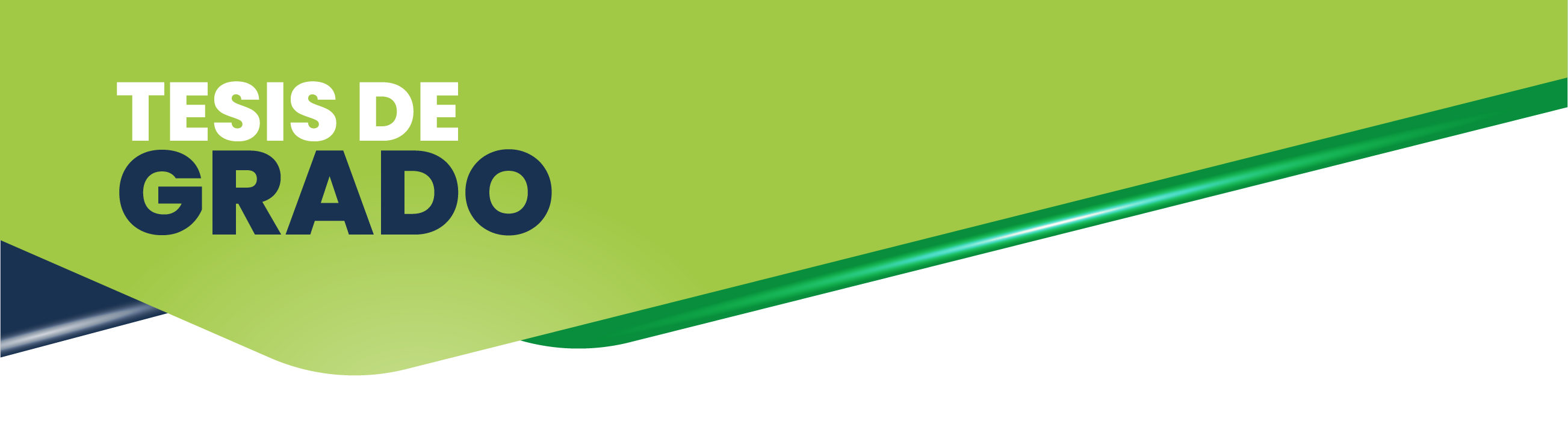 Encabezado Tesis