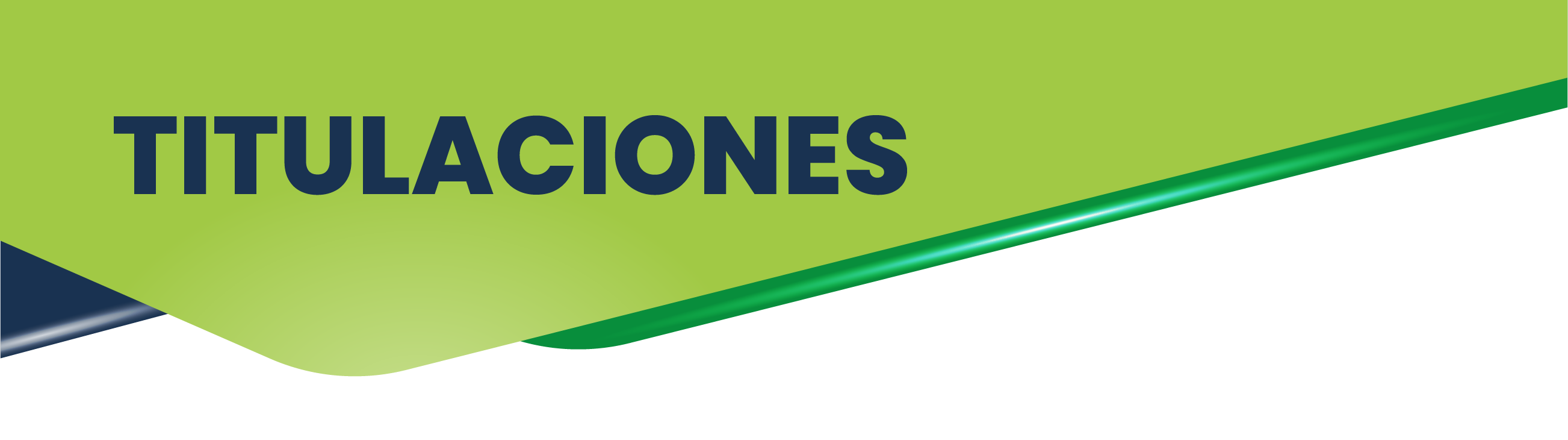 Encabezado Galer&iacute;a