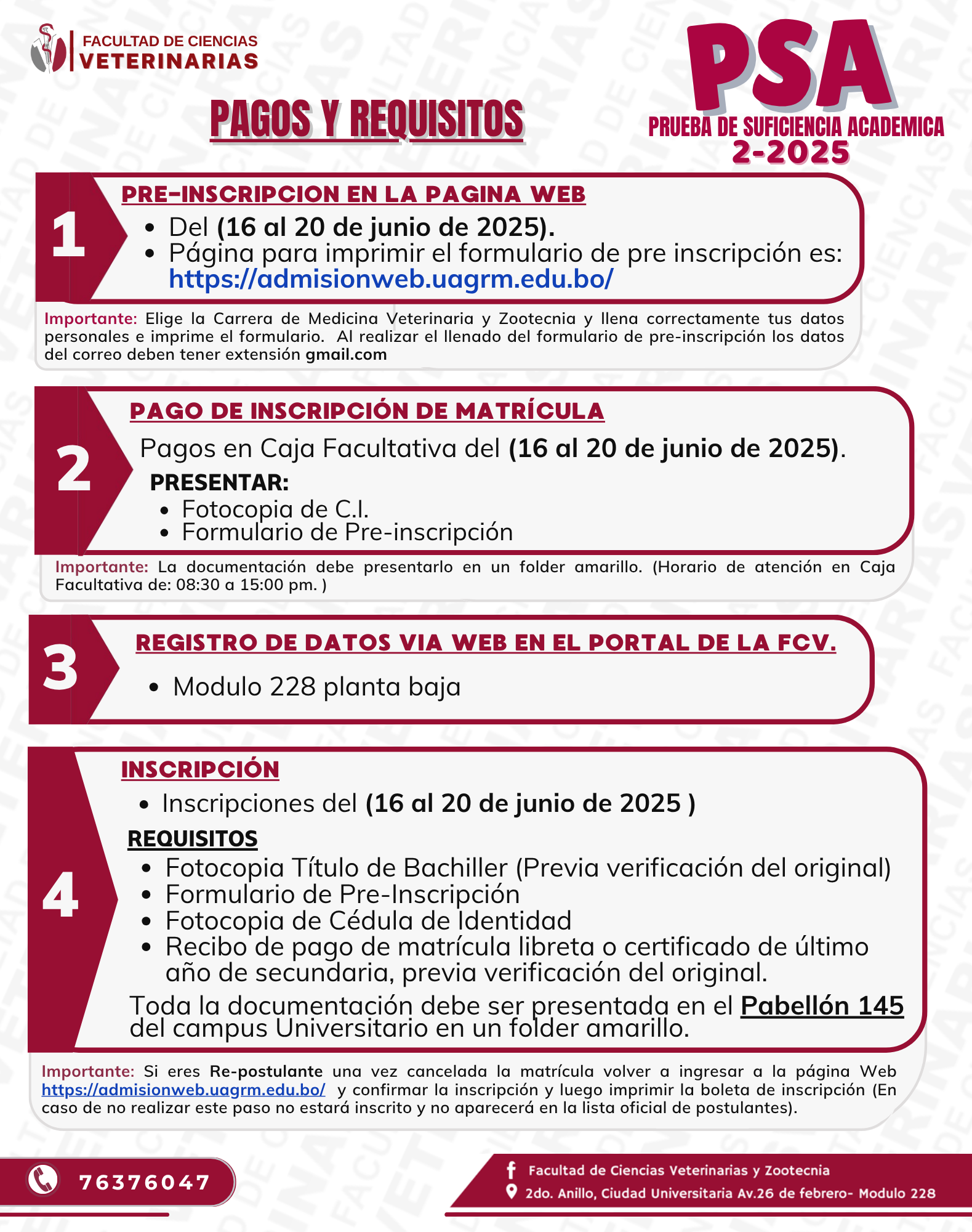 PRUEBA DE SUFICIENCIA ACADÉMICA - PSA II-2025